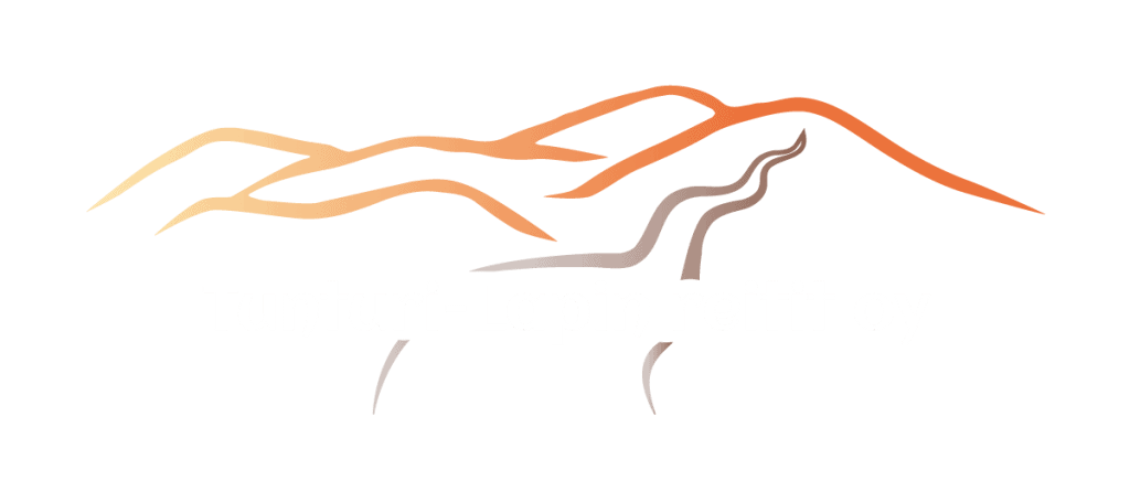 Tunturi-Lapin reitit -logo
